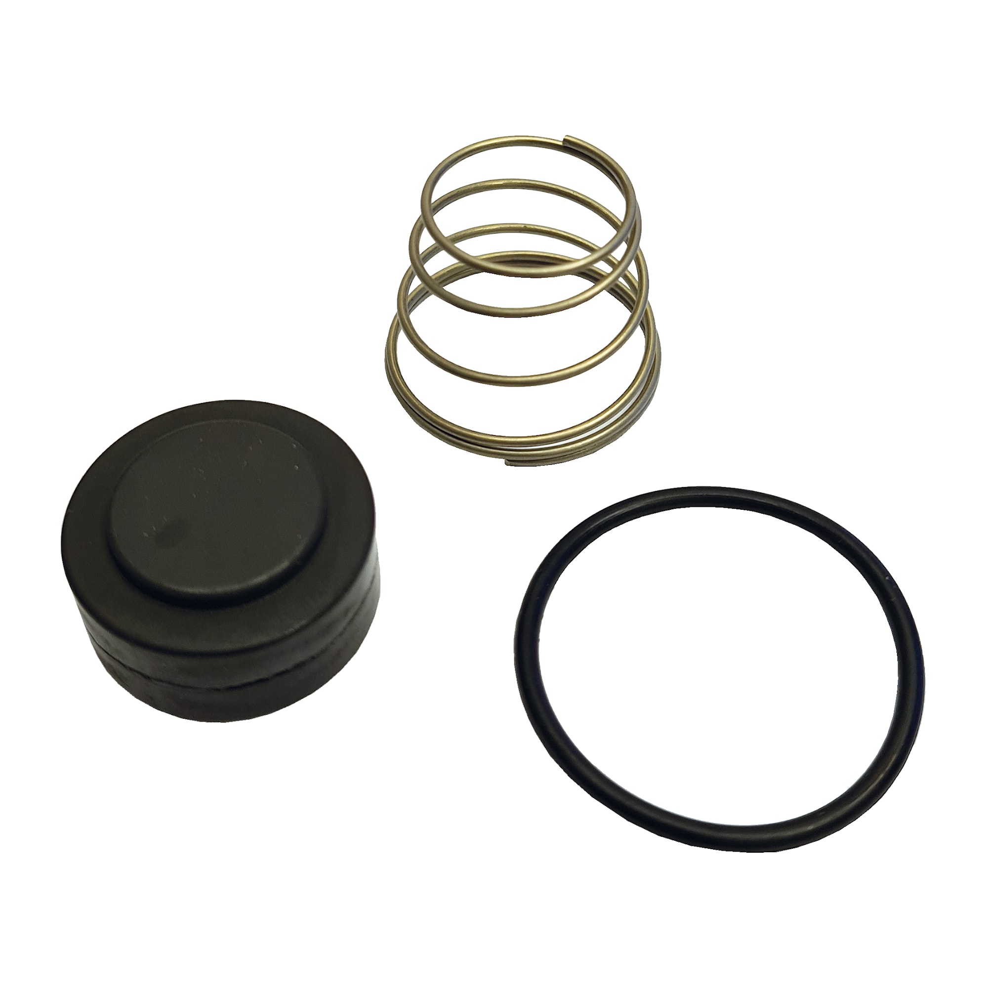 Reno Rep Set Backventil 3/4''
