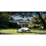 luba2awd-01-mowundertree.webp