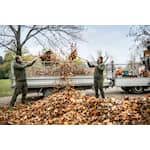 BR800CE_ACTION_XI (Custom).jpg