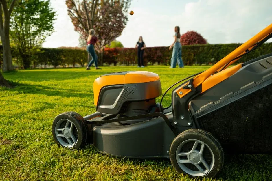 01127f419b749a07aeac20815f35c7bcb7_collector48SAEk