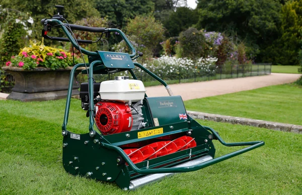BUCK30H-striped-lawns.webp