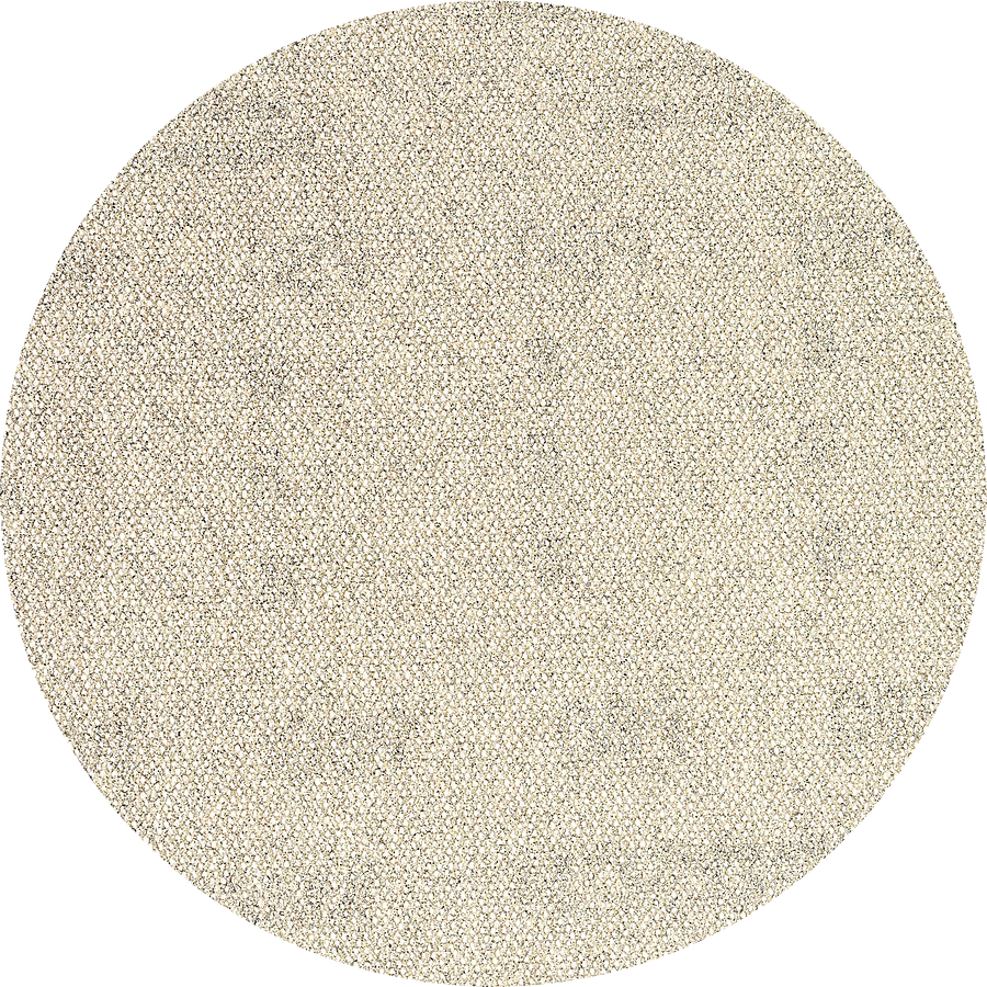 Bosch Hioma-arkki Expert EXC Net 125 mm 5 kpl