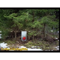 d06540dd-f5bc-455b-ac0b-7b35257c5cb6[1]