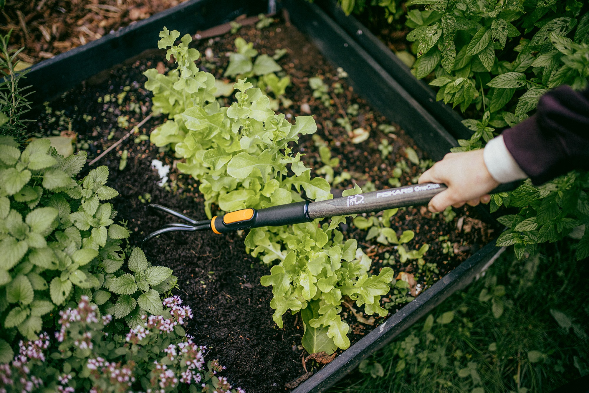 1080670_Fiskars_OneClick_Wooden_handle_S_FSC_Actio