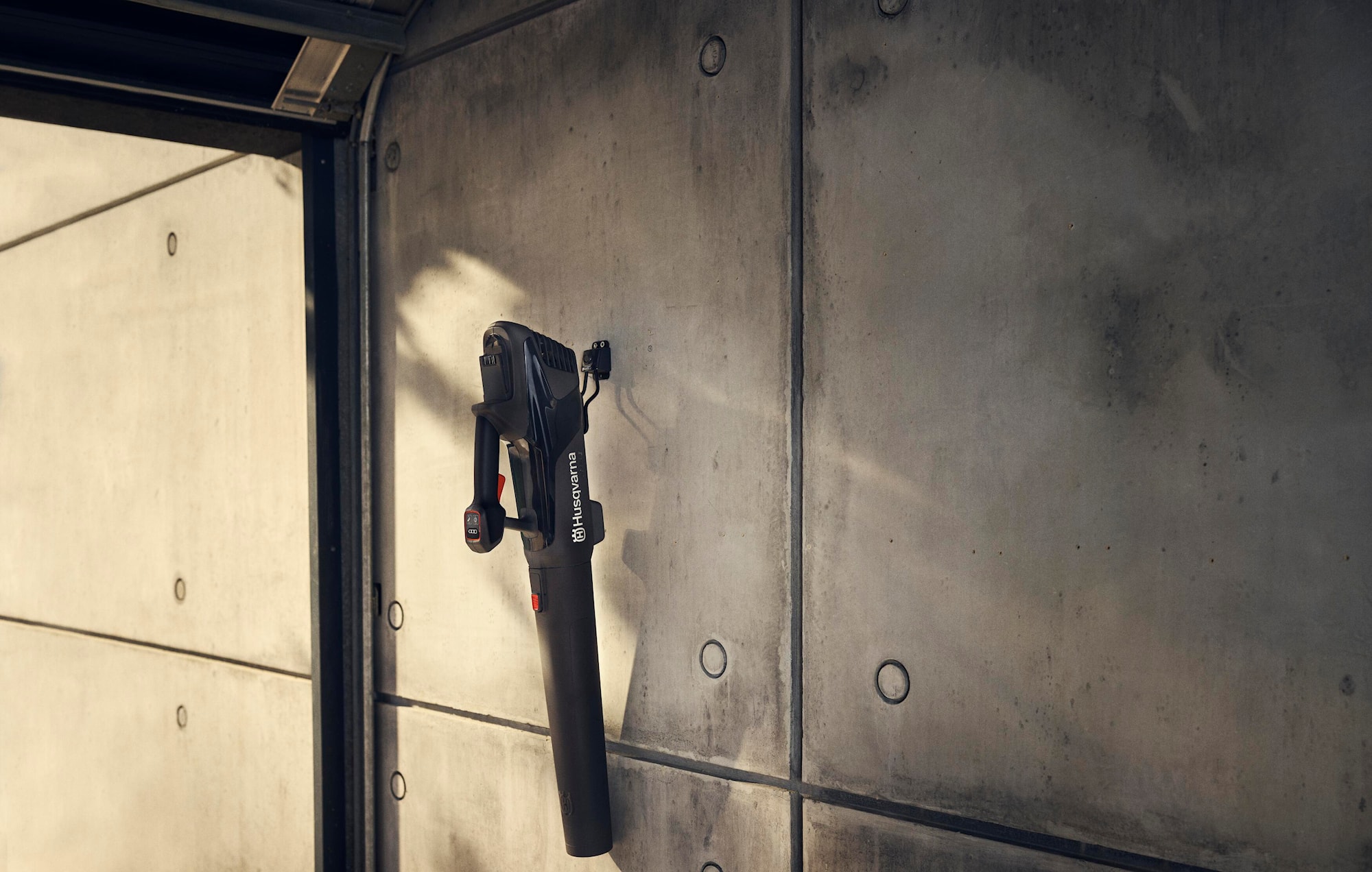 Aspire Lövblås 5.jpeg