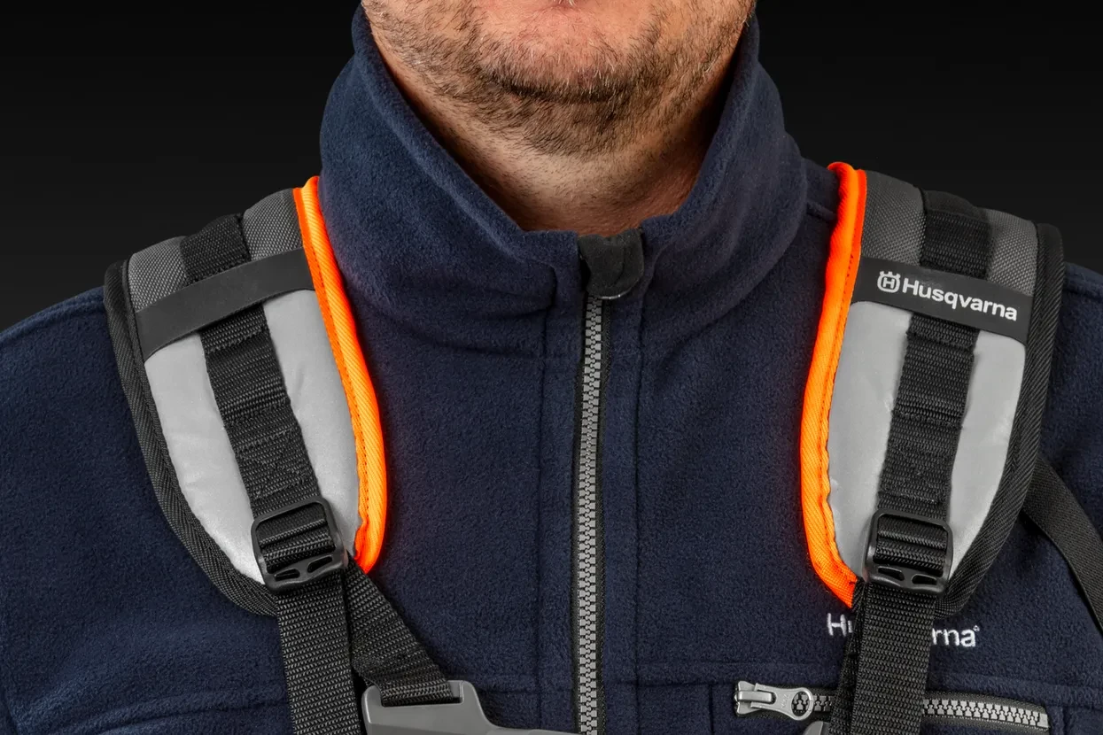 wp-245149.webp
