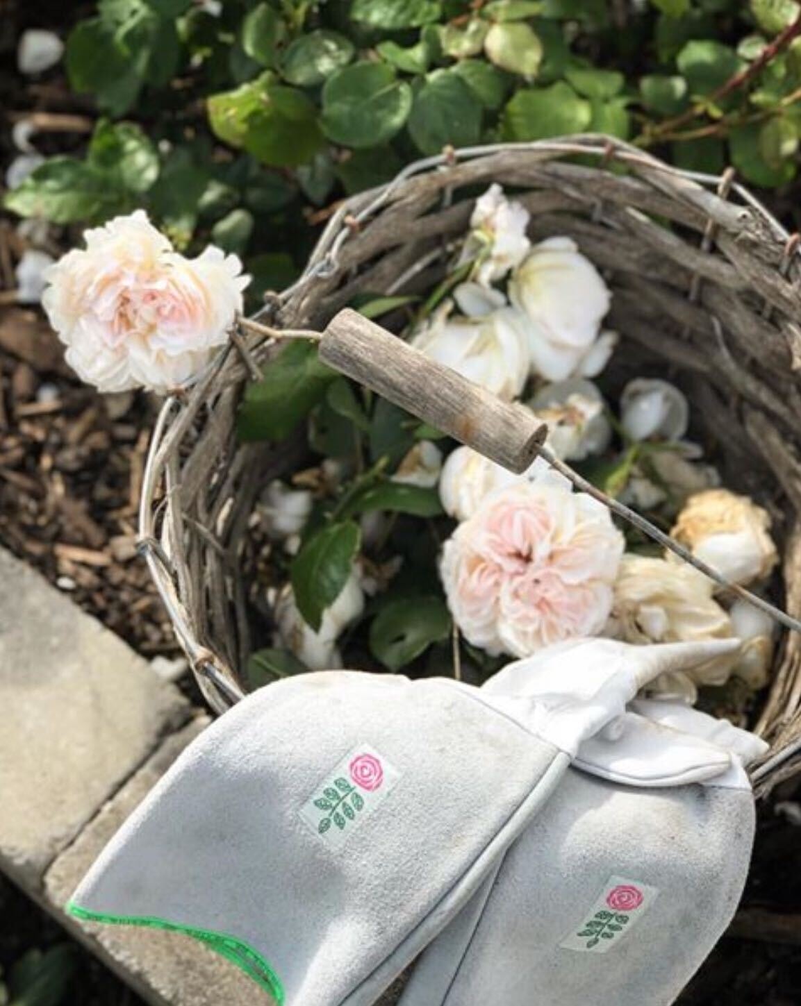 Image from iOS (31).jpg