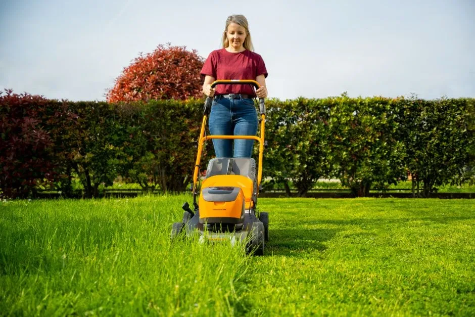 d2fe3ad35daafd6cc9db4a658bc189a3d0_collector48SAEk