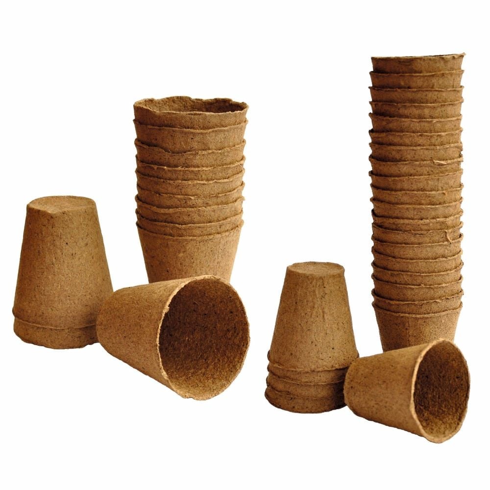 Weibulls Biokruka 6cm rund, 24-pack -