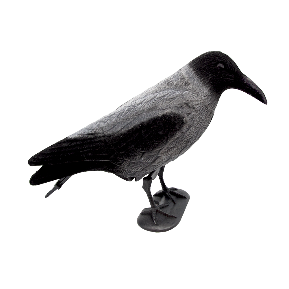 5etta Bulvan - Kråka