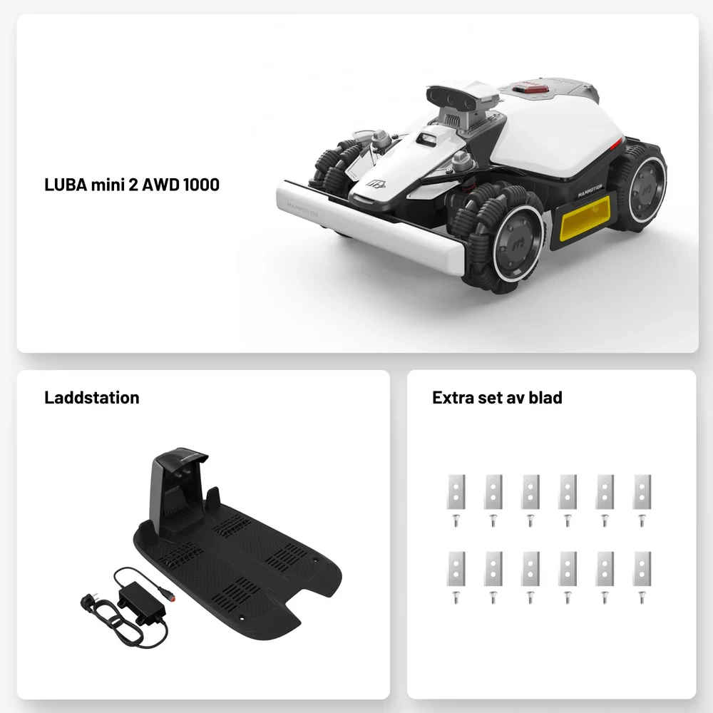 SE_92ec7695-1690-4d3f-b621-ea46c9d9acfc.webp