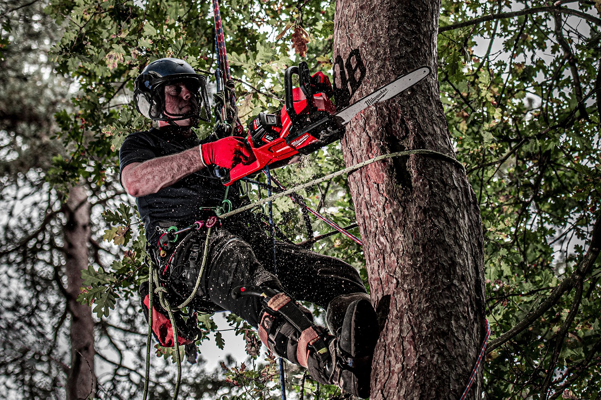 1000862093-M18_FCHS-122-Miljo2.jpg