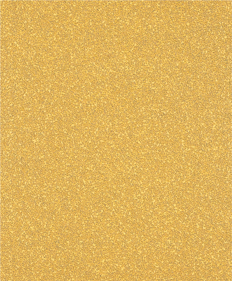 Bosch Hioma-arkki Expert 230 x 280 mm