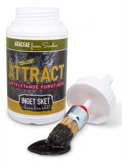 Araceae Attract Furutjära 600ml med pensel -