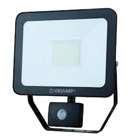 Velamp Spotlight LED med bevegelsessensor 50W 6500K