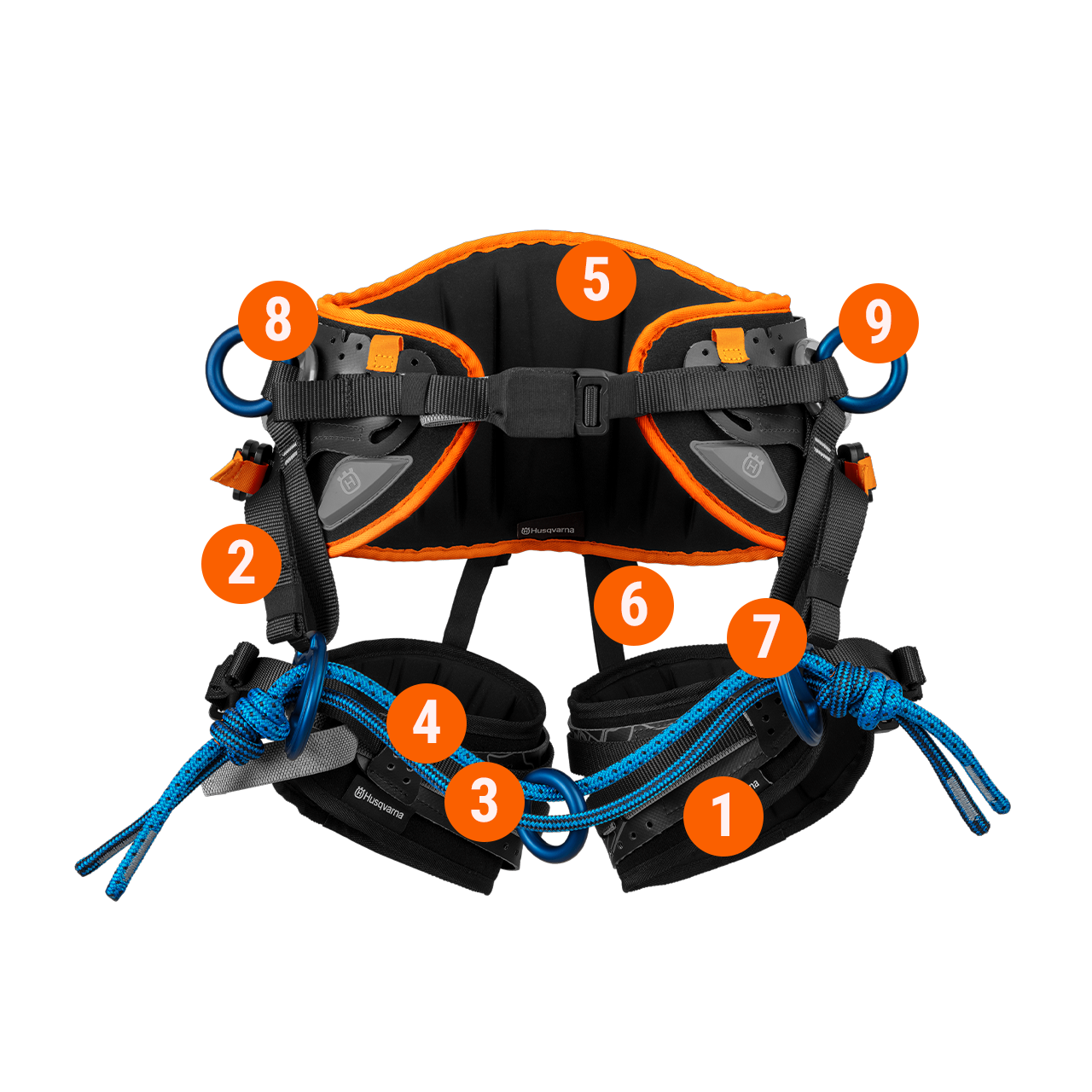 Elastic Cord Set -
