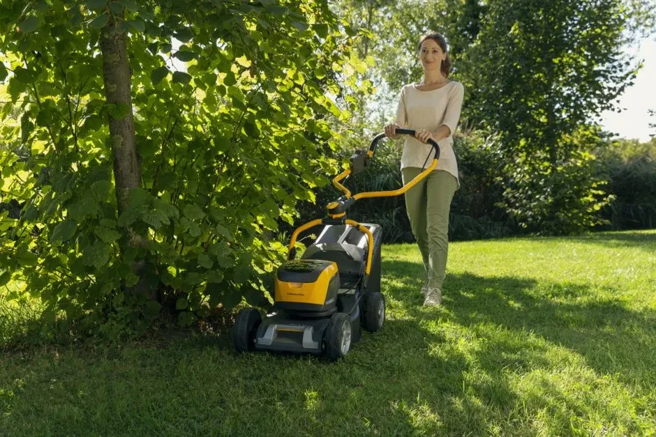 6e3c34e69a5d4de6083ecd5533e8d42c156_Collector543eK