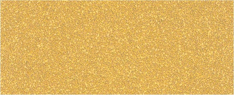 Bosch Hiomapaperi Expert C470 epäkeskohiomakoneisiin 93 x 230 mm 10 kpl