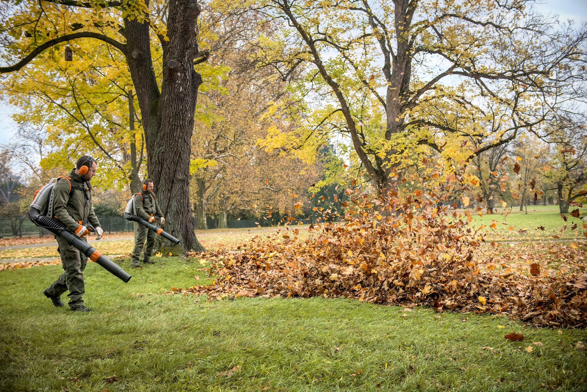 BR800CE_ACTION_II (Custom).jpg