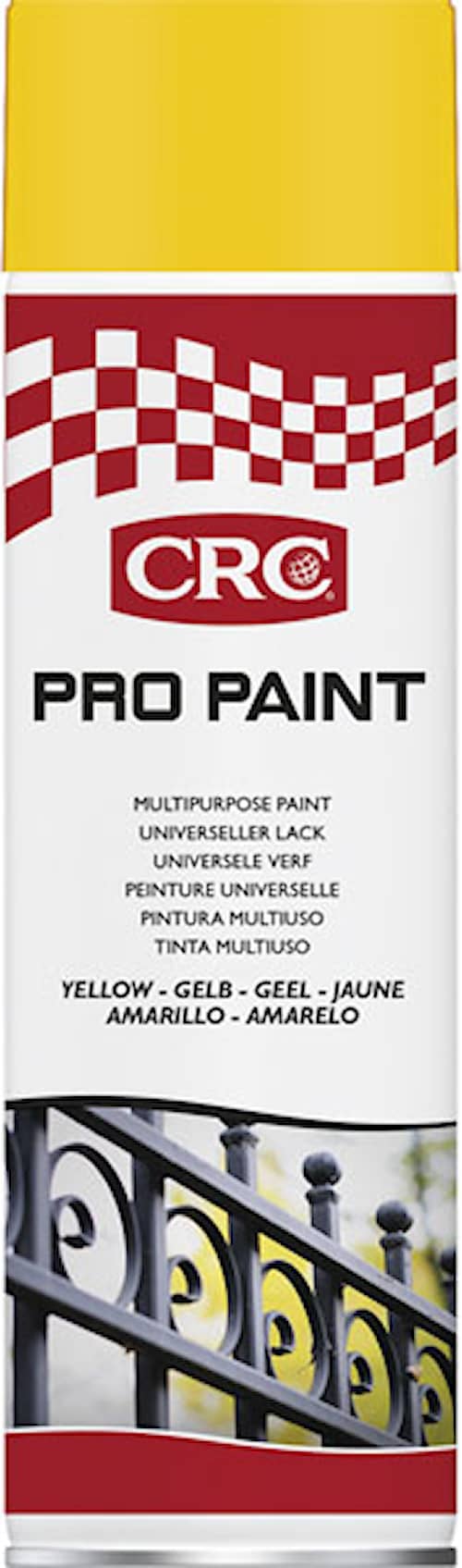 CRC Sprayfärg Pro Paint Silver Blank 500ml