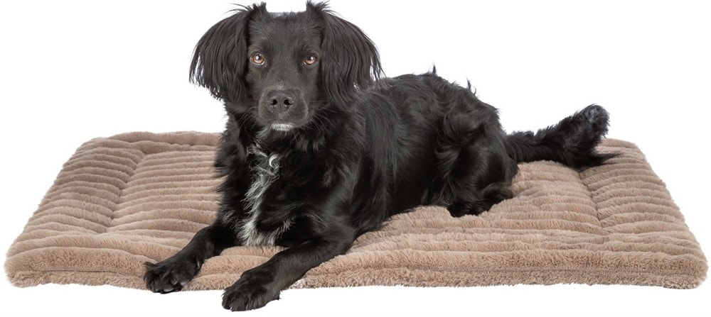 Trixie Lonni Liggmatta Manchesterplysch Ljusbrun