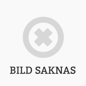 Sthemma Thomas Pneumatiskt Städ 350