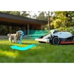 luba2awd-03-mow-or-avoid.webp