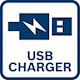 Bosch_BI_Icon_USB_Charger (5).jpg