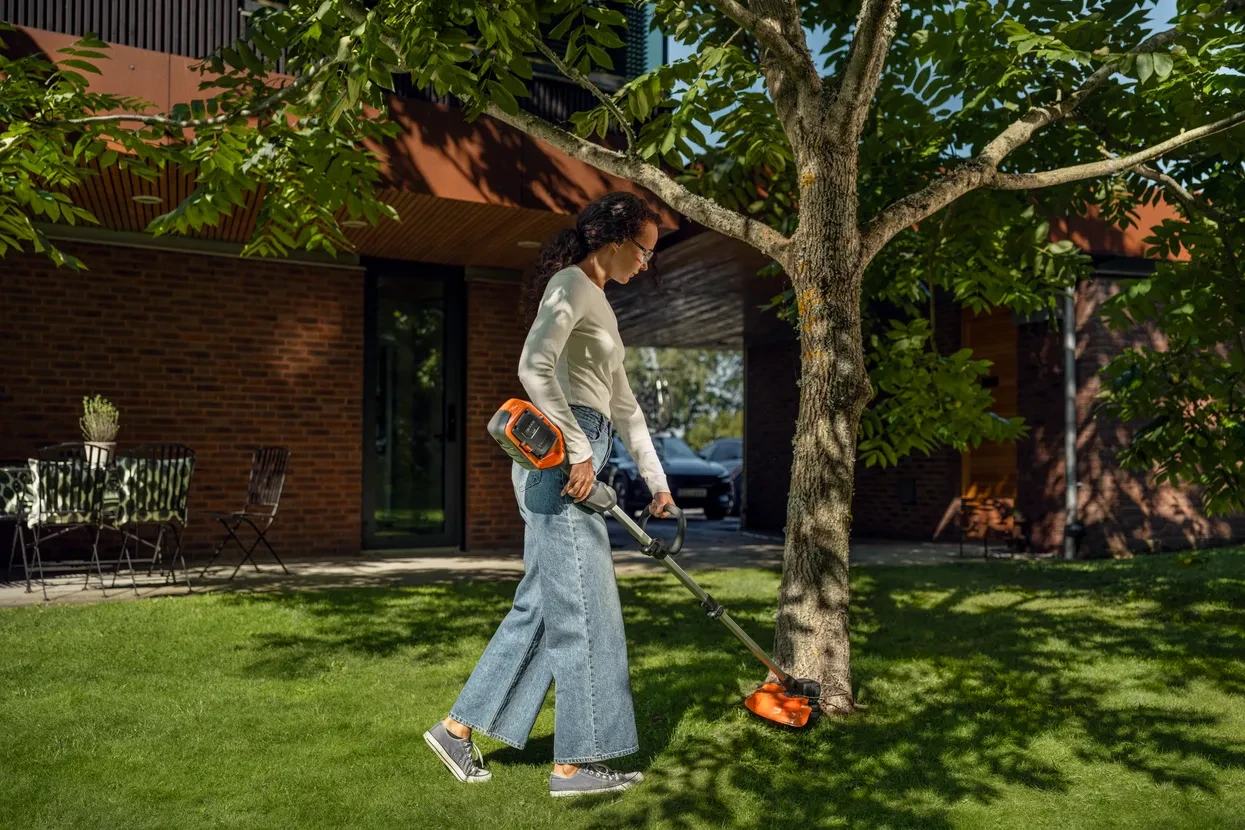 kg-947956 (1).webp