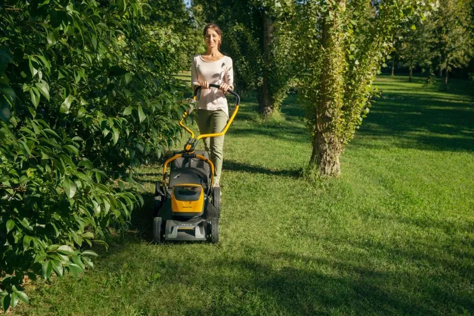 5598e723b5957e96f3748962737daeb4f2e_Collector543eK