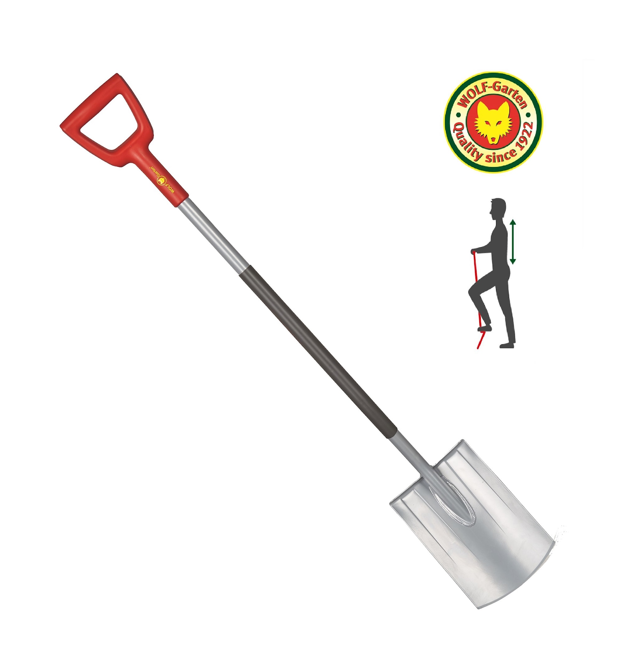 73ADA005650 AS-D AltC.jpg