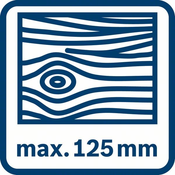 Bosch_BE_Icon_Wood_max125mm (8).jpg