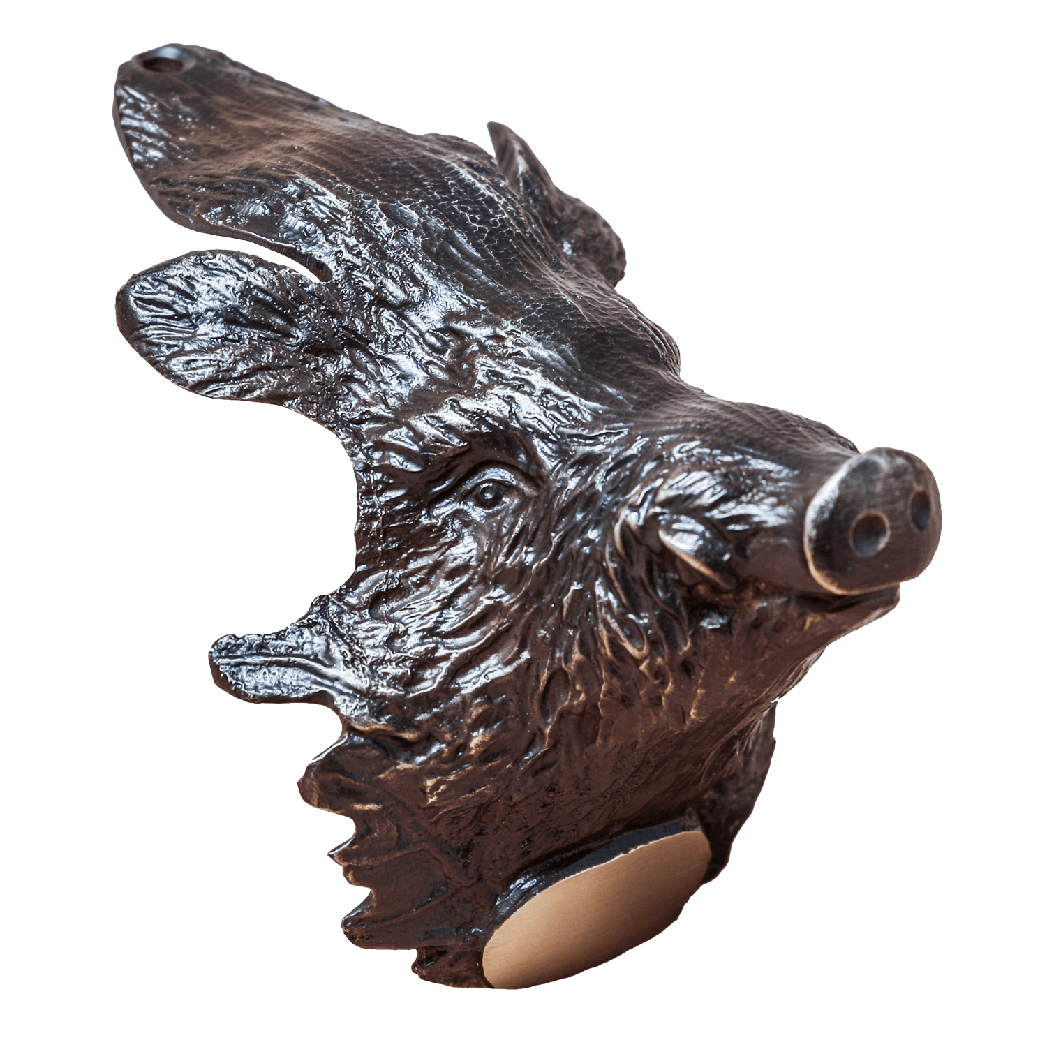 5etta Vildsvinshuvud i mässing