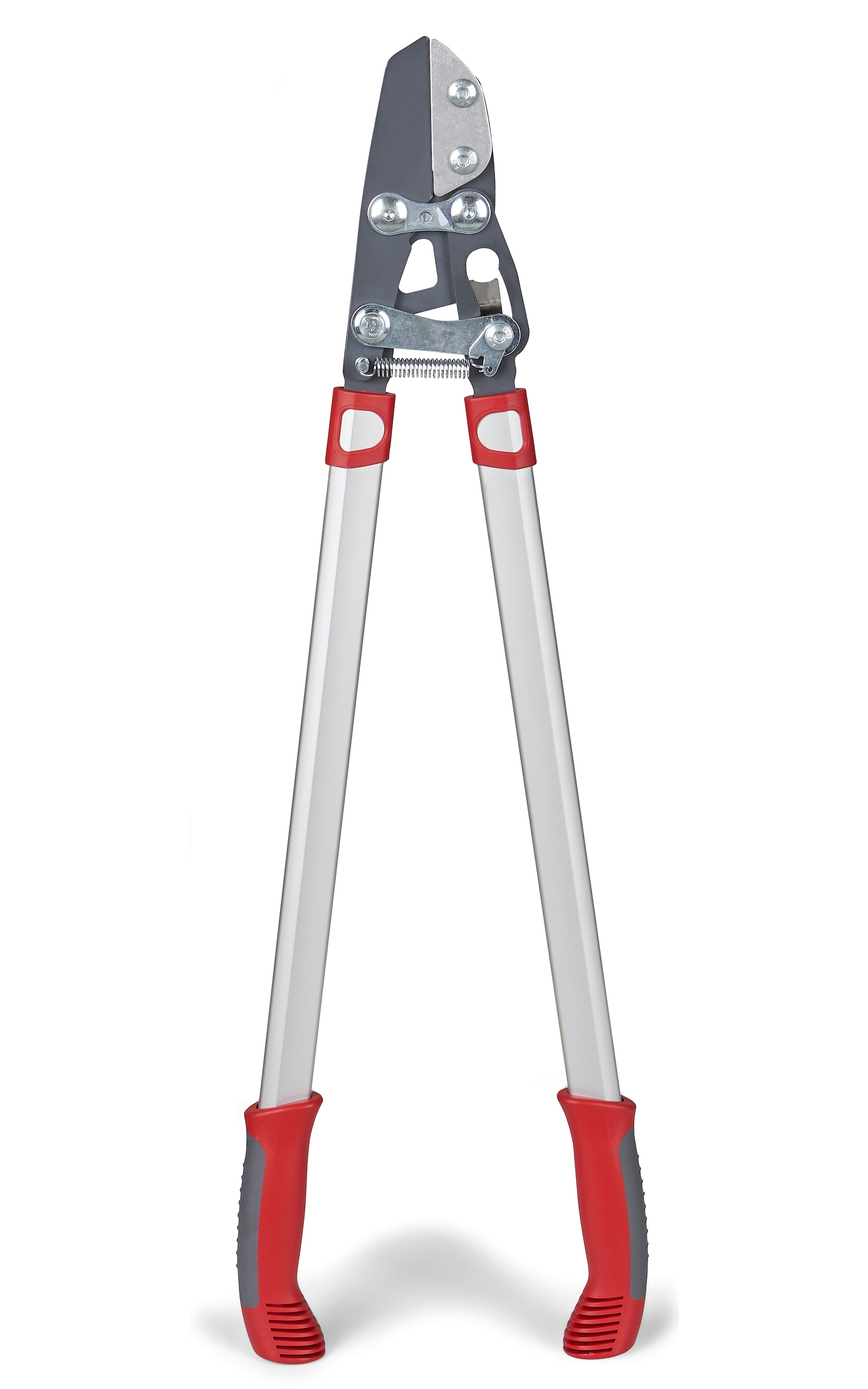 WOLF-Garten Power Cut RS 800 V Grensax