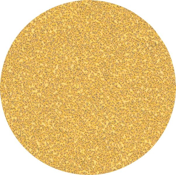 Bosch Sandpaper Expert C470 for angle grinders and drills, 125 mm 50 pack