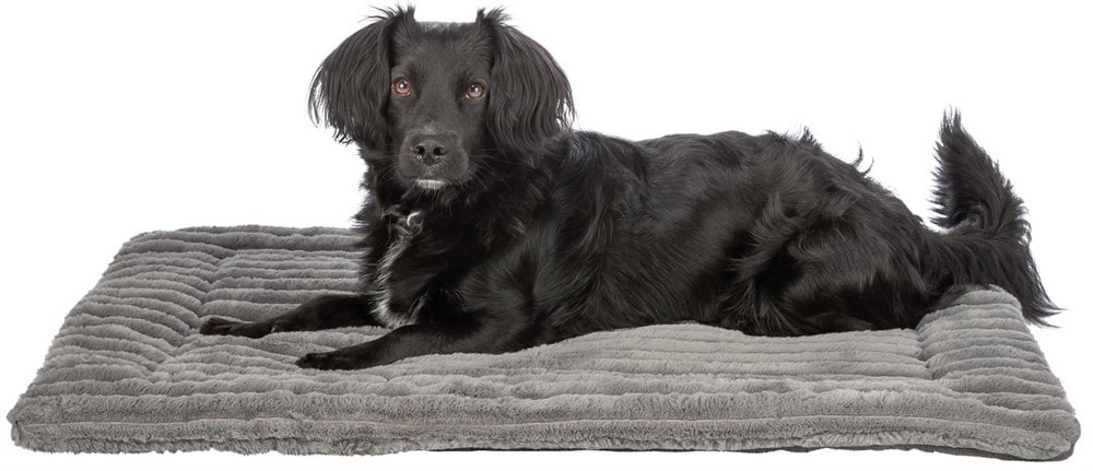 Trixie Lonni Liggmatta Manchesterplysch Grå