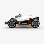 34 (1).webp